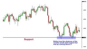 hemayat-moghavemat-2